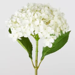 Butlers FLORISTA Hortensie Kunstblume- Kunstpflanzen