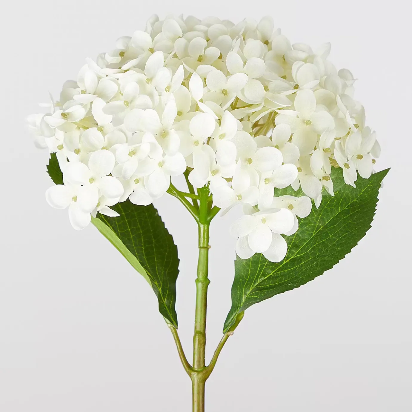Butlers FLORISTA Hortensie Kunstblume- Kunstpflanzen