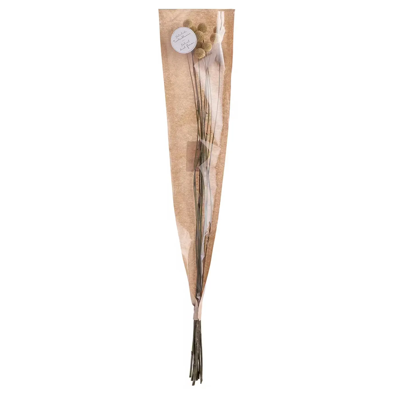 Butlers FLOWER MARKET Trockenblumen Craspedia- Kunstpflanzen|Trockenblumen