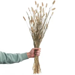 Butlers FLOWER MARKET Trockenblumen Lagurusgras- Kunstpflanzen|Trockenblumen