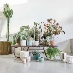 Butlers LIV Blumentopf- Blumentöpfe & Übertöpfe